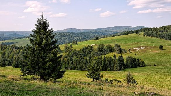 Pierwsze tygodnie wiosny w Beskidach – pomysł na spokojny wypoczynek w górach
